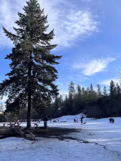 High Bridge Dog Park - Spokane, WA