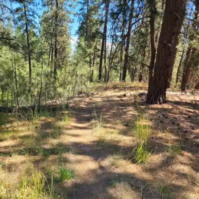 Holmberg Park - Spokane, WA