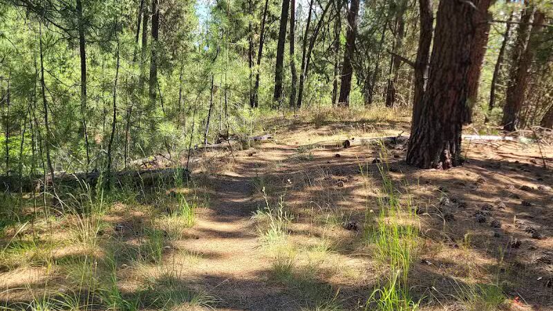 Holmberg Park - Spokane, WA