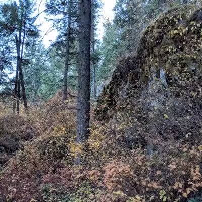 Holmberg Park - Spokane, WA