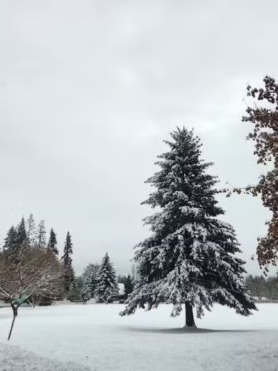 Holmberg Park - Spokane, WA