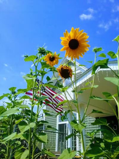 Kehoe Park - Spokane, WA