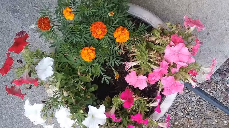 Kehoe Park - Spokane, WA