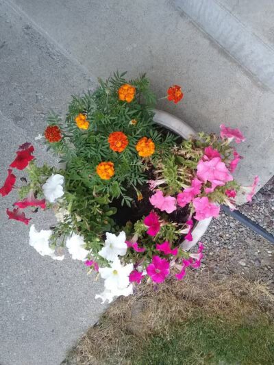 Kehoe Park - Spokane, WA