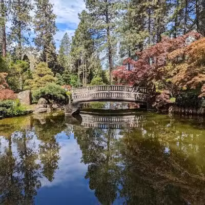 Manito Park - Spokane, WA