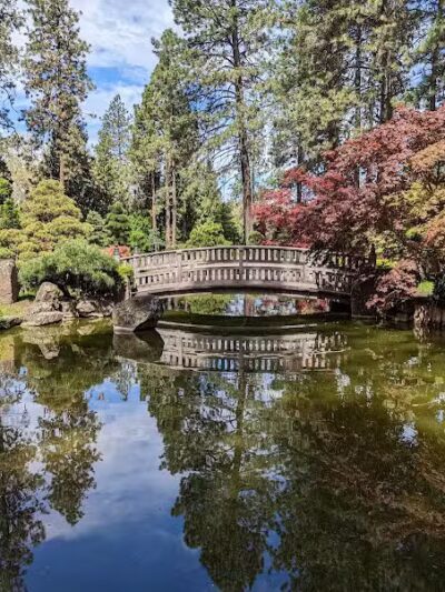 Manito Park - Spokane, WA