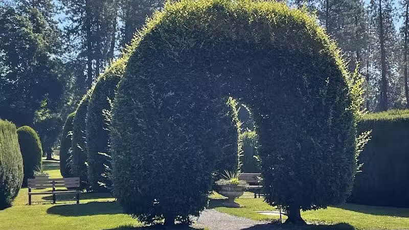 Manito Park - Spokane, WA