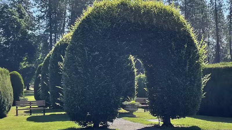 Manito Park - Spokane, WA