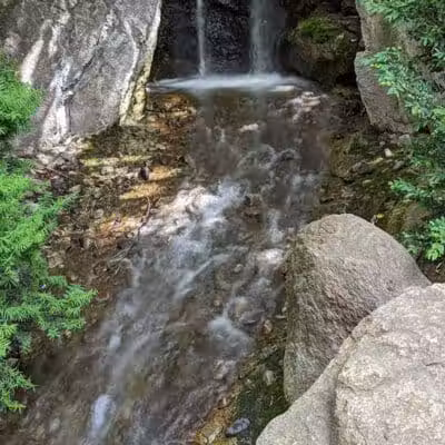 Manito Park - Spokane, WA
