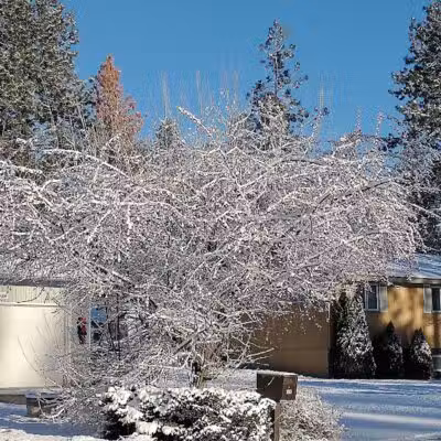 Northwoods Park - Spokane, WA