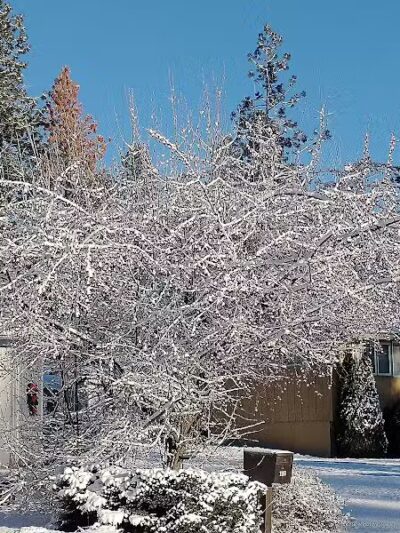 Northwoods Park - Spokane, WA