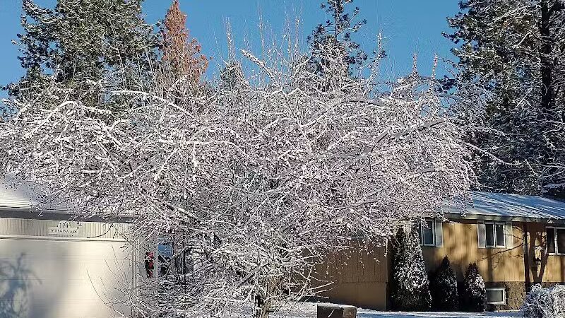 Northwoods Park - Spokane, WA