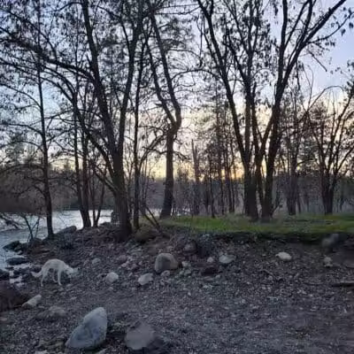People’s Park - Spokane, WA