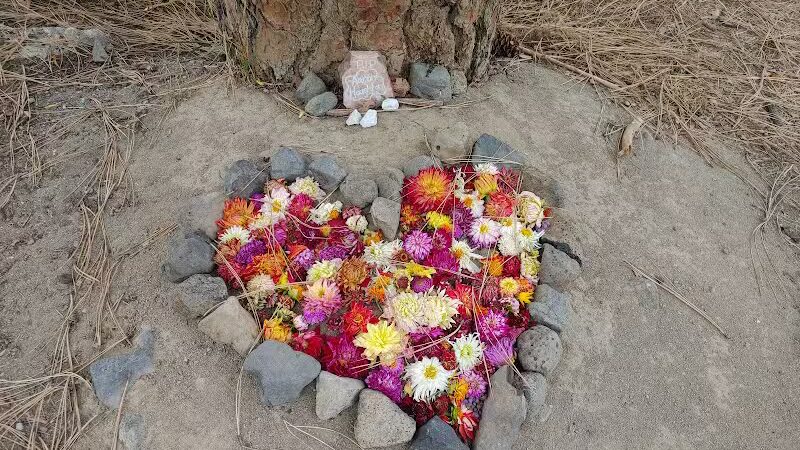 Polly Judd Park - Spokane, WA