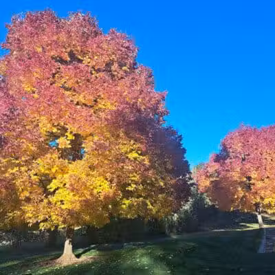 Polly Judd Park - Spokane, WA