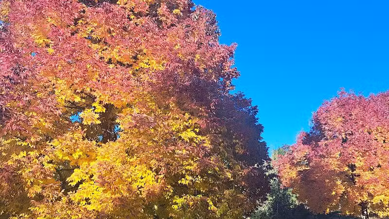 Polly Judd Park - Spokane, WA