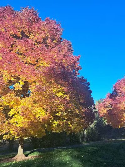 Polly Judd Park - Spokane, WA