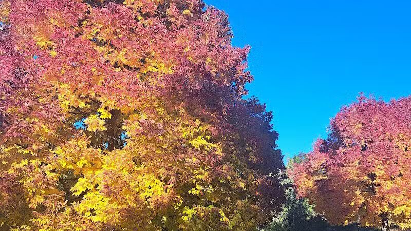 Polly Judd Park - Spokane, WA