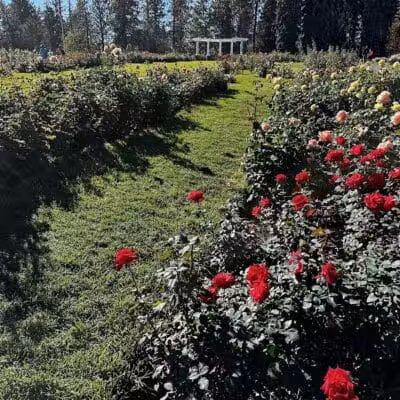 Rose Hill - Spokane, WA