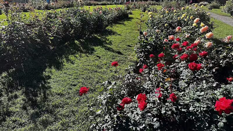 Rose Hill - Spokane, WA