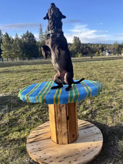 Sniff Spot Dog Park - Spokane, WA