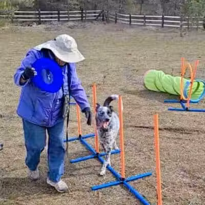 Sniff Spot Dog Park - Spokane, WA