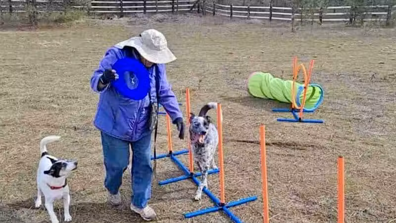 Sniff Spot Dog Park - Spokane, WA