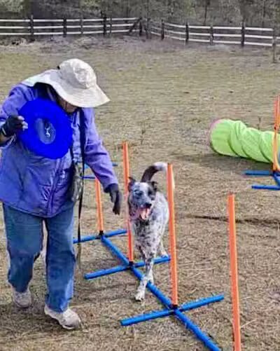Sniff Spot Dog Park - Spokane, WA