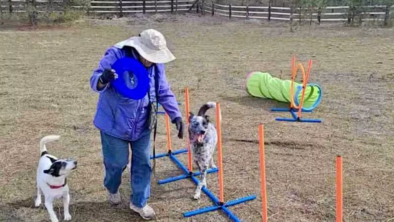 Sniff Spot Dog Park - Spokane, WA