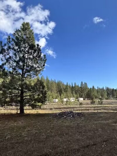 Sniff Spot Dog Park - Spokane, WA