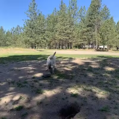 South Hill Dog Park - Spokane, WA