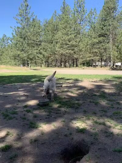 South Hill Dog Park - Spokane, WA