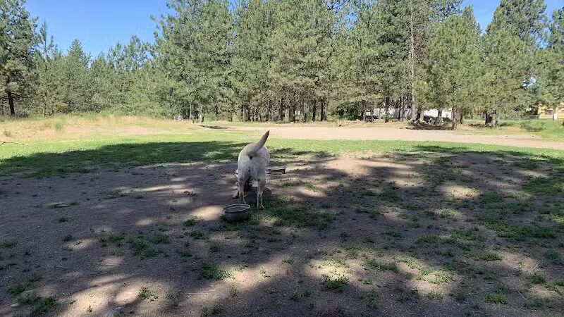 South Hill Dog Park - Spokane, WA