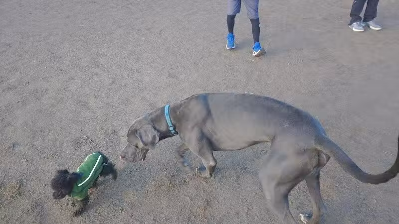 South Hill Dog Park - Spokane, WA