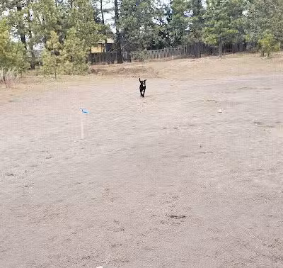 South Hill Dog Park - Spokane, WA