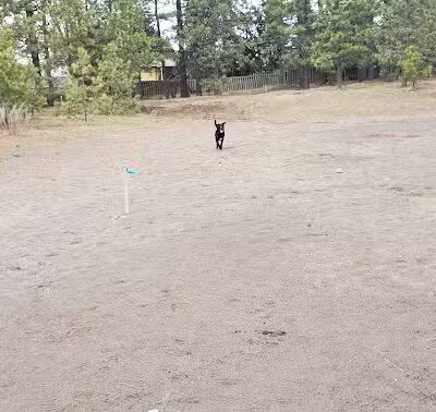 South Hill Dog Park - Spokane, WA
