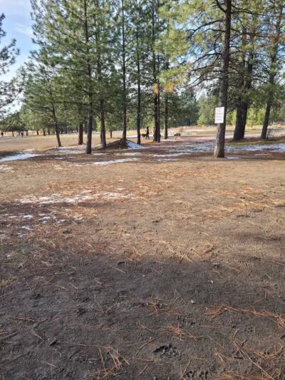 South Hill Dog Park - Spokane, WA