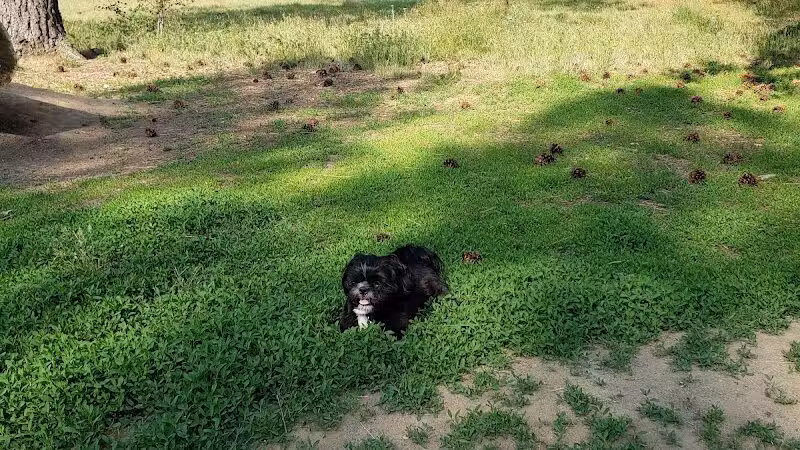South Hill Dog Park - Spokane, WA