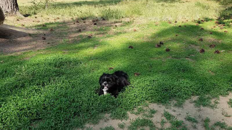 South Hill Dog Park - Spokane, WA