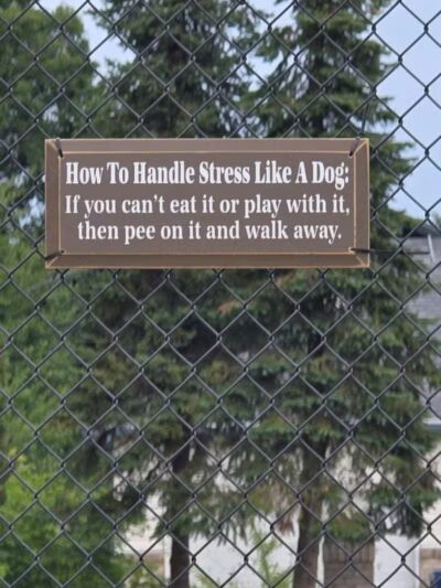 South Hill Dog Park - Spokane, WA