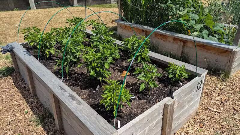 Thornton Murphy Park - Spokane, WA