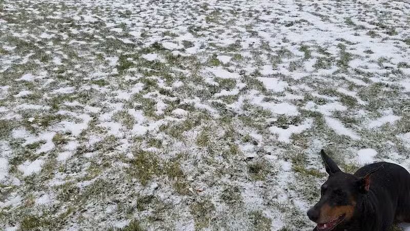 Thornton Murphy Park - Spokane, WA