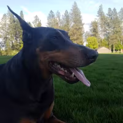 Thornton Murphy Park - Spokane, WA