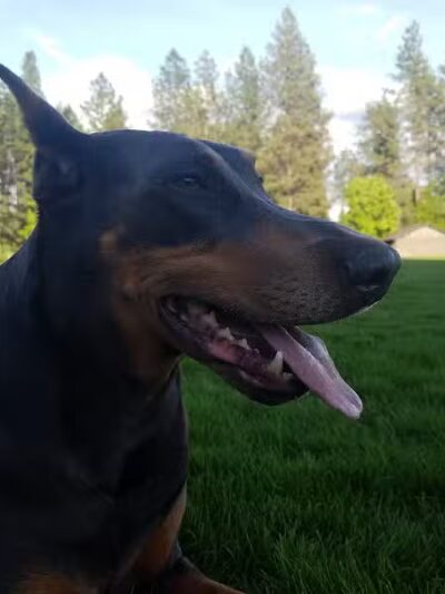 Thornton Murphy Park - Spokane, WA