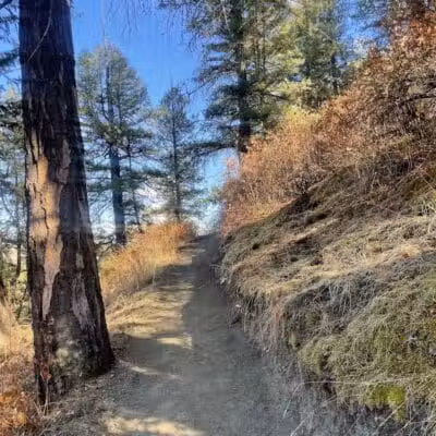 Twickenham Park - Spokane, WA