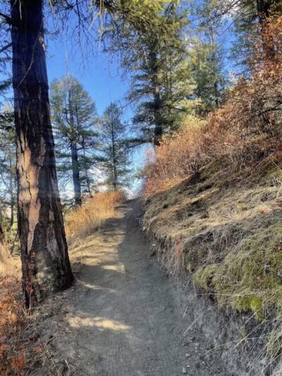 Twickenham Park - Spokane, WA