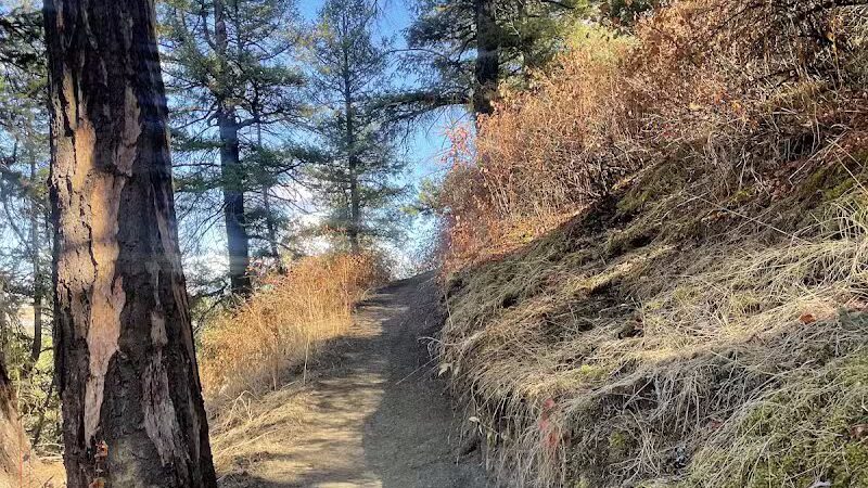 Twickenham Park - Spokane, WA