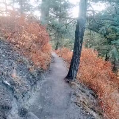 Twickenham Park - Spokane, WA