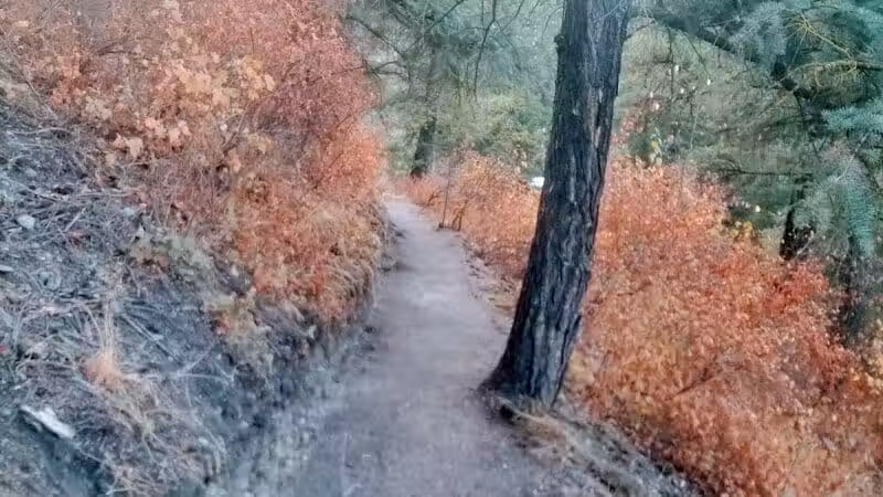 Twickenham Park - Spokane, WA