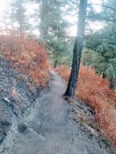 Twickenham Park - Spokane, WA